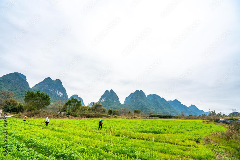 Naklejka premium Mountains and farmland in Guilin, Guangxi Province, China