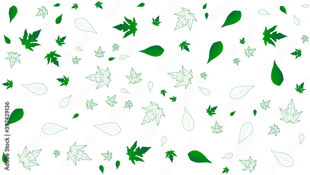 white background with green leaves white background with green leaves