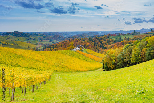 Autumn landscape with South Styria vineyards, known as Austrian Tuscany, a charming region on the border between Austria and Slovenia with rolling hills, picturesque villages and wine taverns