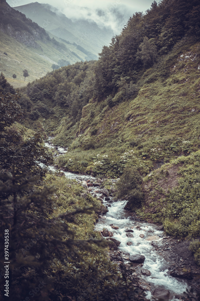 Obraz premium Beautiful rocky creek in the Caucasus mountains forest