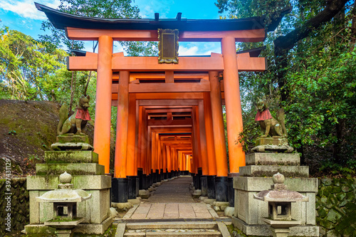 Japan. Entrance to the gate...