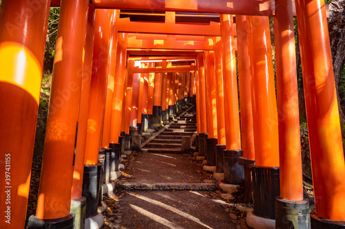 Japan. Passage through the ...