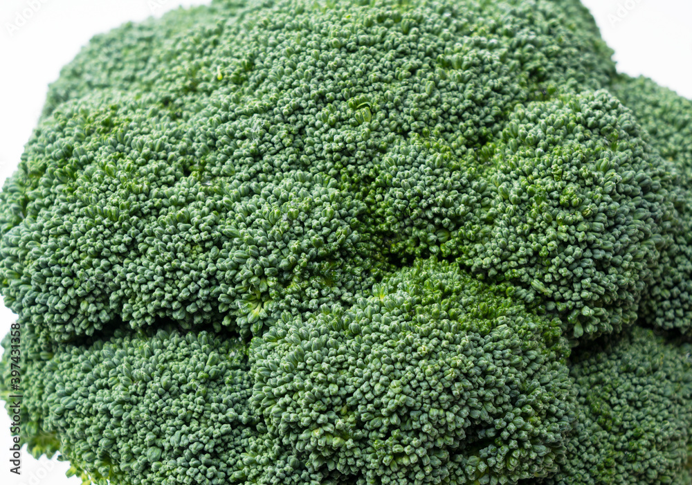 Close-up of broccoli placed on a white background Close-up of broccoli placed on a white background
