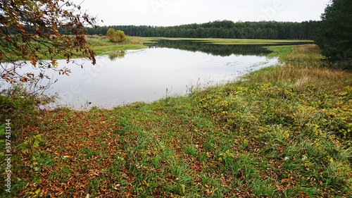Fototapeta Naklejka Na Ścianę i Meble -  Powódź. Lubuskie. Polska.