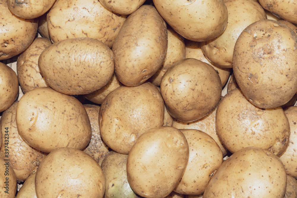 Pile of fresh organic potatoes in a wicker basket. Pile of fresh organic potatoes in a wicker basket.