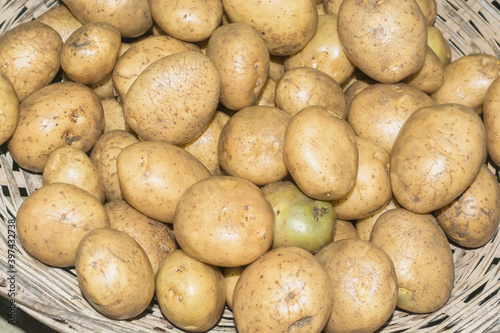 Pile of fresh organic potatoes in a wicker basket.