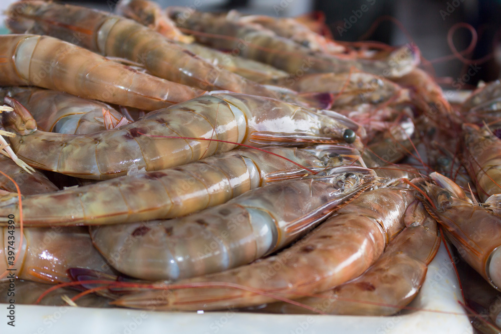 Some raw prawns preserved on ice. Seafood meals ingredient. Shelled shrimp found in fishmongers. Some raw prawns preserved on ice. Seafood meals ingredient. Shelled shrimp found in fishmongers.