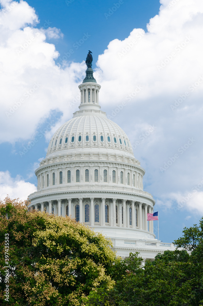 Obraz premium United States Capitol Building - Washington D.C. United States of America