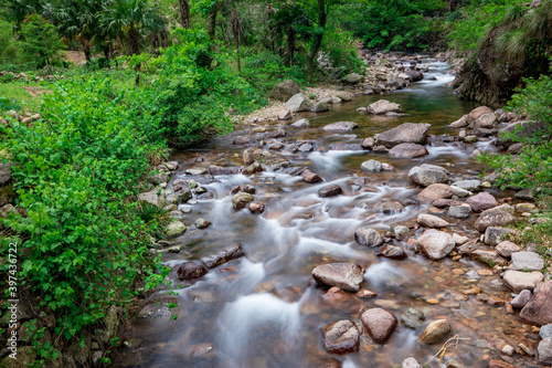 stream in the forest