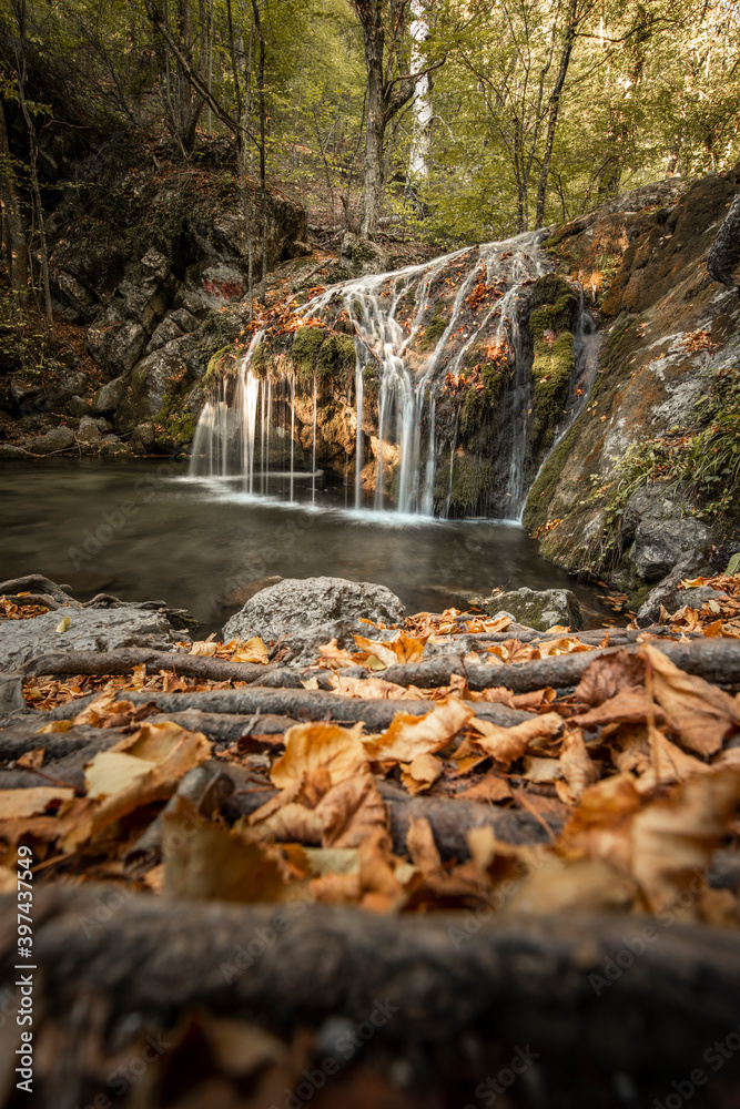Fototapeta premium Cascade of the river in the form of a small waterfall. Green natural background.