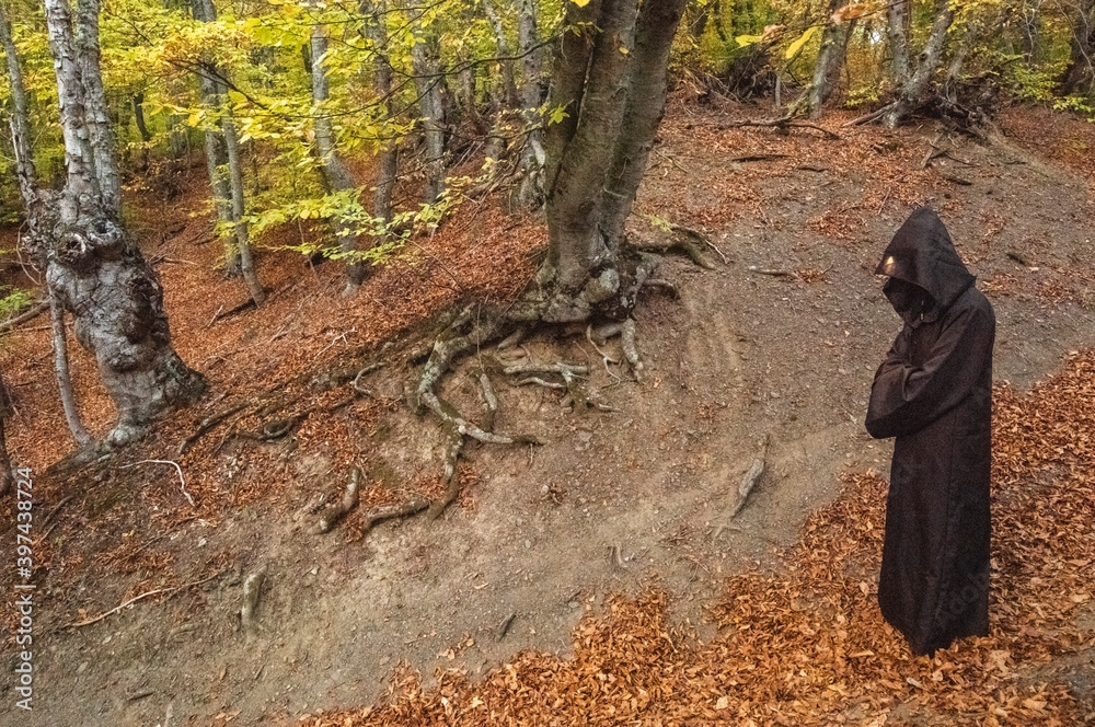 Obraz premium A man in a hoodie stands in a mystical forest.
