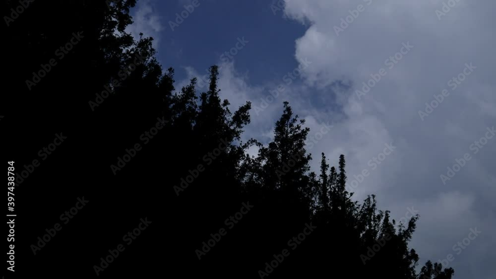 Silhouette of Forest Trees with big Cloudy Blue Sky Silhouette of Forest Trees with big Cloudy Blue Sky