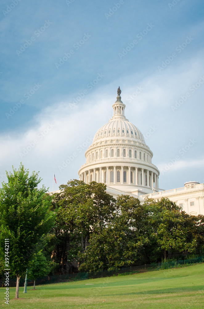 Capitol Building  - Washington D.C. United States of America