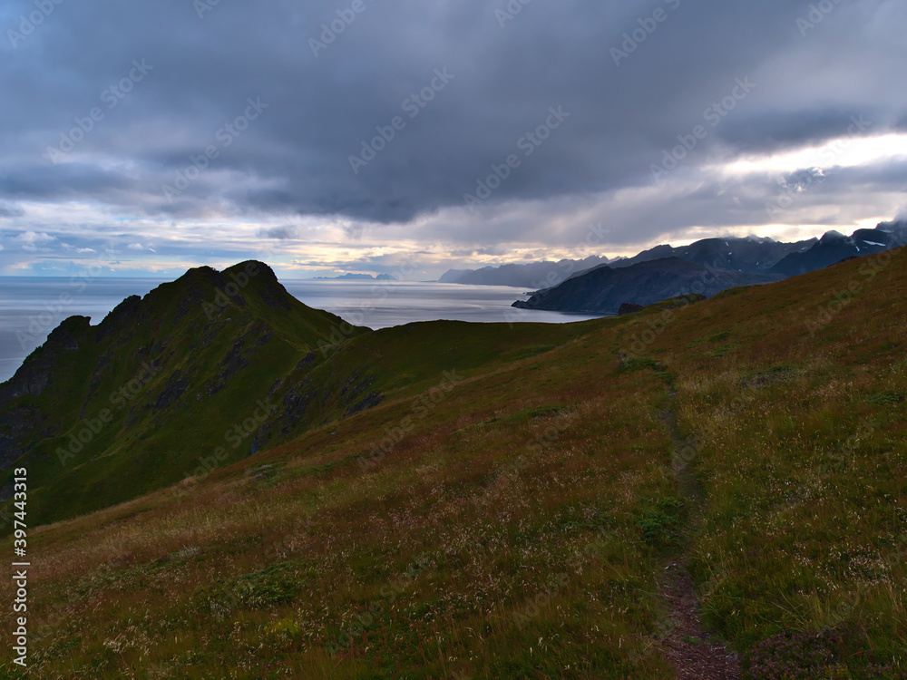 Obraz premium Beautiful view of southern coast of Lofoten islands, Norway with rugged mountains on horizon viewed from Ballstadheia plateau with hiking trail between colorful meadows on cloudy day in late summer.