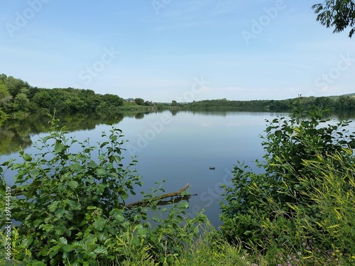 Lake surrounded by green forest on a calm summer day
