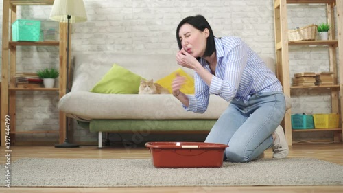 unpleasant smell from the cat toilet