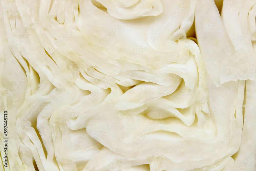 Close-up of a section of white cabbage. Close-up of a section of white cabbage.