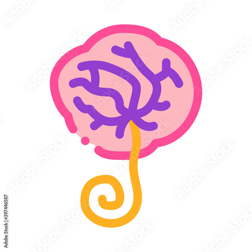 placenta human color icon vector. placenta human sign. isolated symbol illustration
