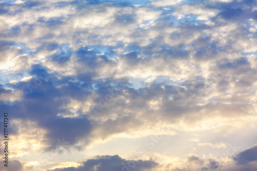 Fototapeta Naklejka Na Ścianę i Meble -  Cirrocumulus Stratiformis , Clouds in the Morning Light
