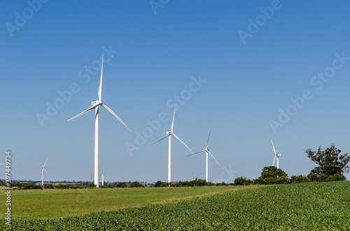 Row of three modern windmills in the countryside near Tarariras, Colonia. Many others windmills can be seen on the background with some trees on the right side. photo