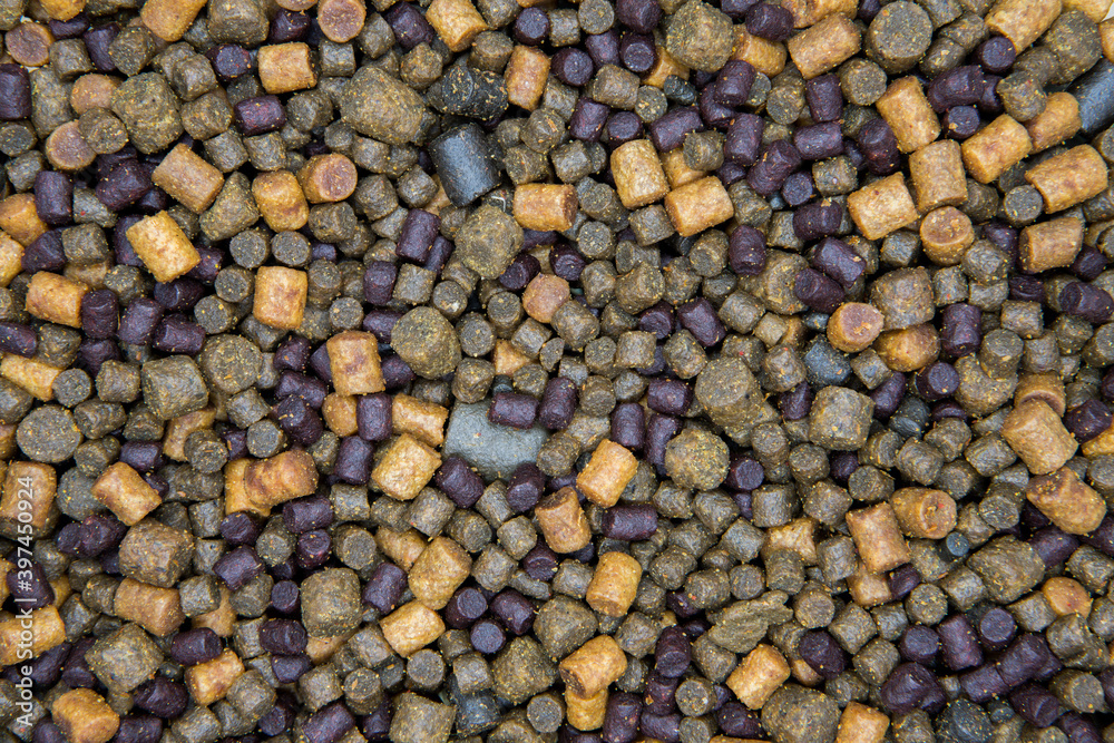 Carp fishing pellets of different sizes and colours. Fishing bait  background Stock Photo