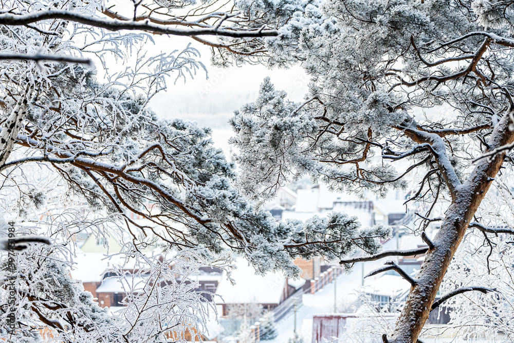 Landscape of a beautiful small village of wooden houses through snow-covered branches of pine trees. Beautiful magic forest and city Landscape of a beautiful small village of wooden houses through snow-covered branches of pine trees. Beautiful magic forest and city