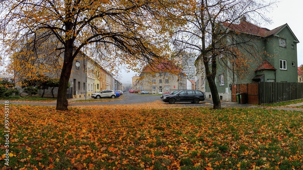 Obraz premium Chomutov, Czech republic- November 11, 2020: autum in Safarikova street - analog noise