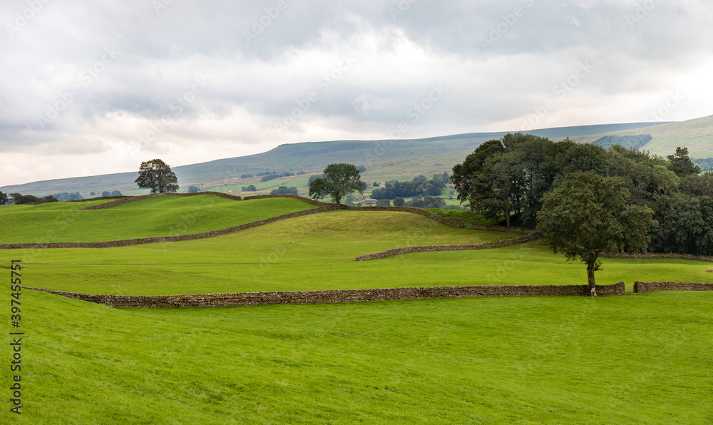landscape with grass and blue sky landscape with grass and blue sky