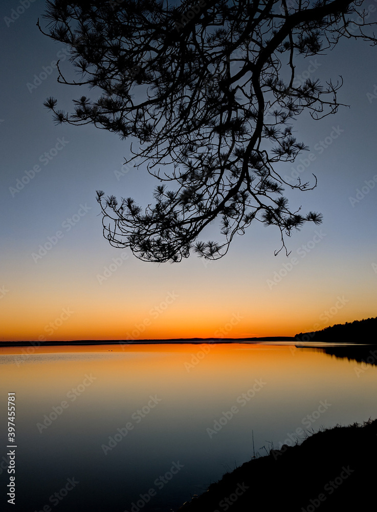 Lonely Branch and Sunset at Higgins Lake Michigan USA
