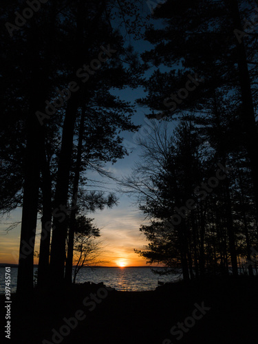 Sunset at the Lake and Forest Higgins Lake Michigan USA