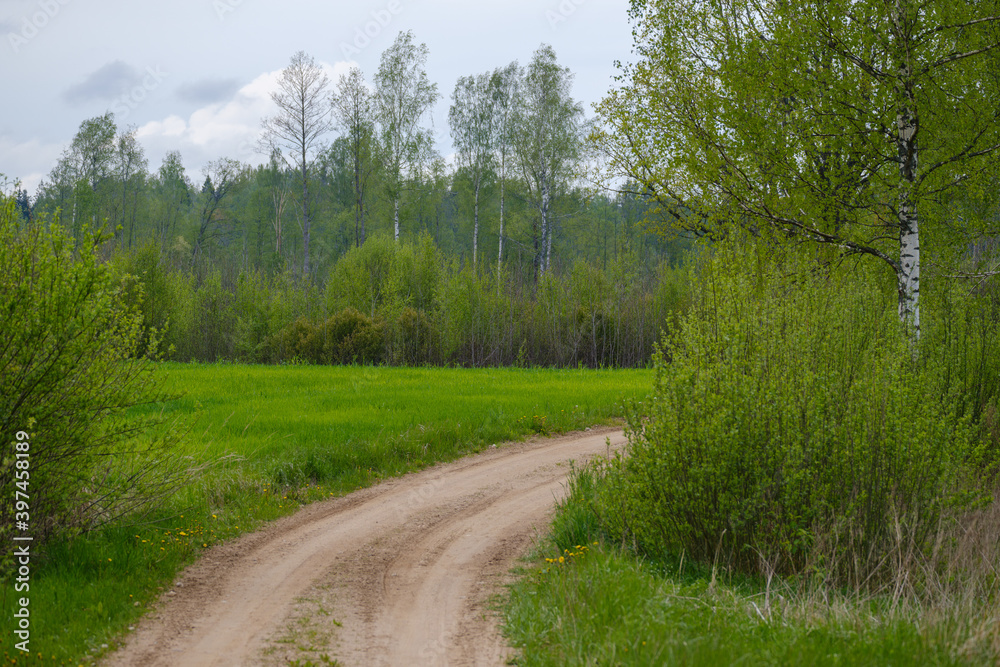 endless beautiful country gravel road in perspective endless beautiful country gravel road in perspective