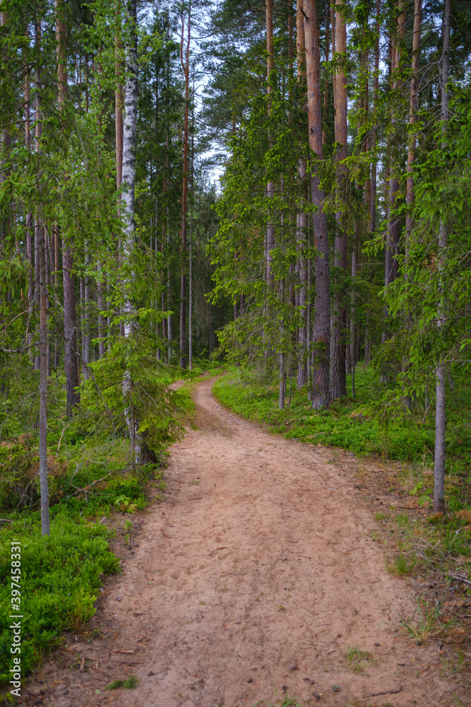 Obraz premium endless beautiful country gravel road in perspective
