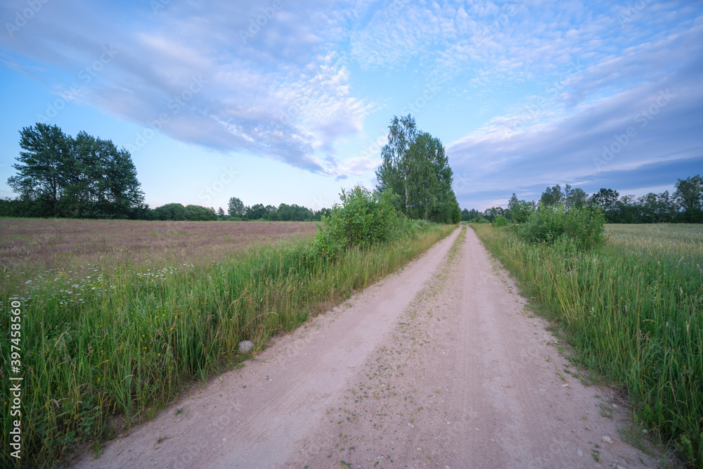 endless beautiful country gravel road in perspective