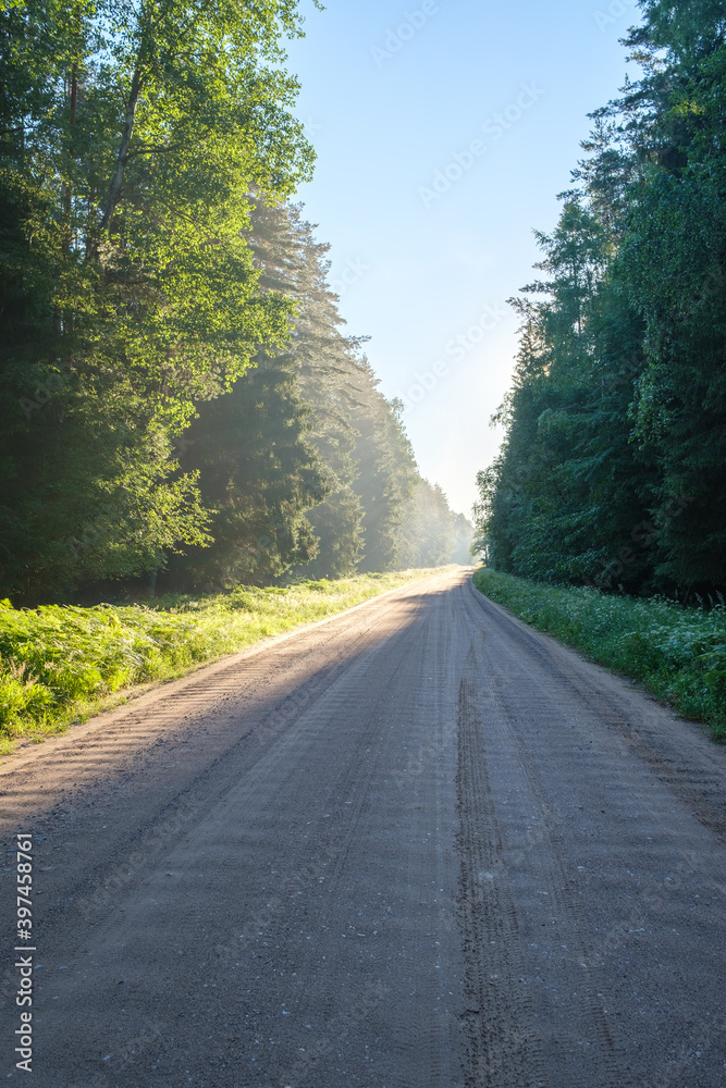 Fototapeta premium endless beautiful country gravel road in perspective
