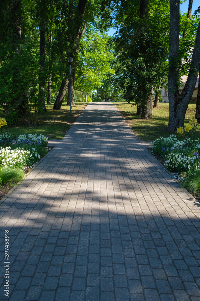 endless beautiful country gravel road in perspective