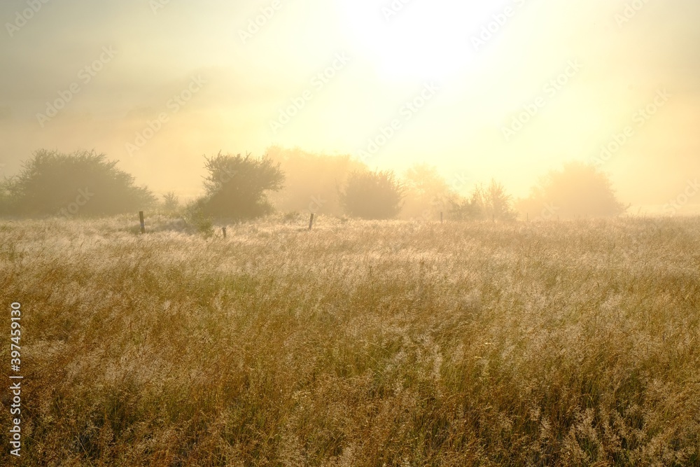 Moody landscape of fields in morning on misty and sunny day