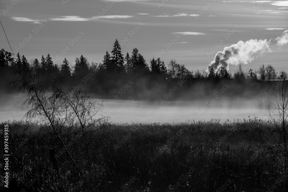 another foggy landscape b&w