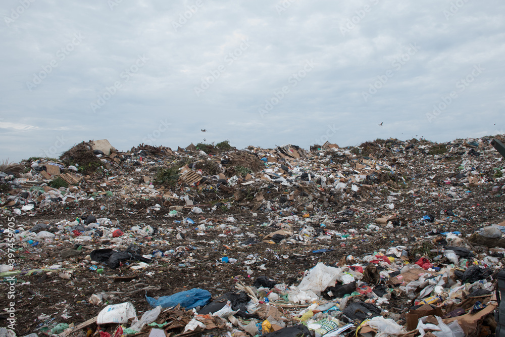 Obraz na plátně A shot of the dump in Grand Cayman