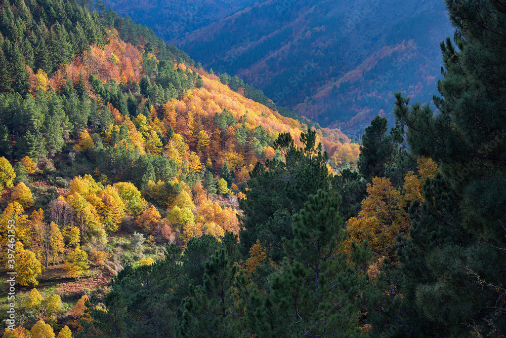 Hillside colorful autumn landscape at Manteigas - Serra da Estrela - Portugal. 