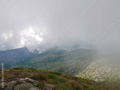 scenico panorama dolomitico in estate, tra rocce e verdi vallate