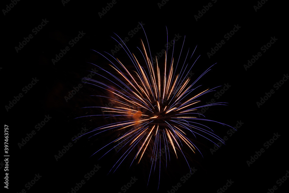 Single purple colored  firework burst, right side of image, isolated on black, bright colorful, copy space.