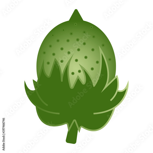 Φωτογραφία flat color icon the green cotton boll for apps and website