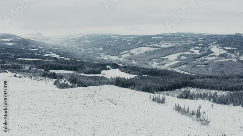 Flying over the green and white winter wonderland. Cold with a Christmas feeling. Shot in December.  shot with a drone photo