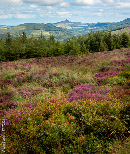 Fotografie Sugarloaf mountain, Wicklow, Ireland