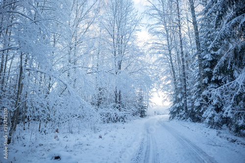 A beautiful winter day landscape of a gravel road near the forest. Snow covered scenery of Northern Europe. © dachux21