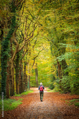 Male hiker with a red backpack walking in the forest during autumn