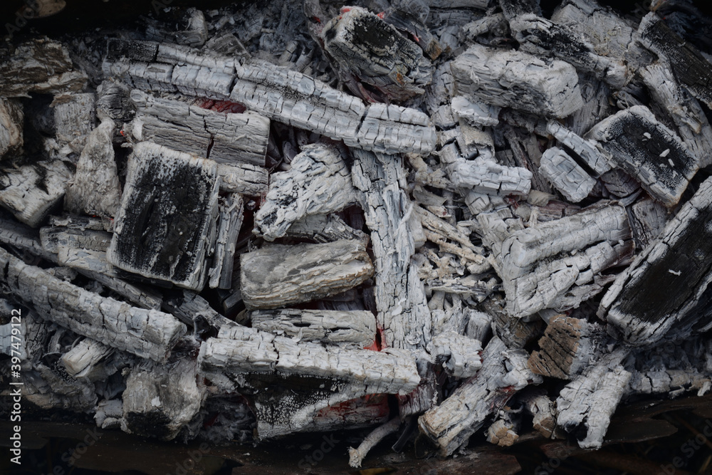 coals covered with ash in an extinct campfire coals covered with ash in an extinct campfire