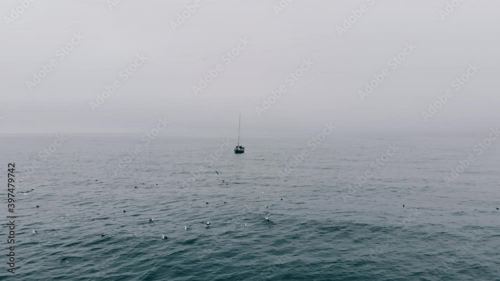 Small ship alone in middle of endless ocean or sea, surrounding by flock of seagulls. Boat trips or travels in blue or turquoise waters, aerial view. Concept of package tours and exciting travel. Small ship alone in middle of endless ocean or sea, surrounding by flock of seagulls. Boat trips or travels in blue or turquoise waters, aerial view. Concept of package tours and exciting travel.
