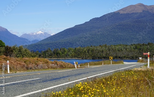 By the road to Milford Sound