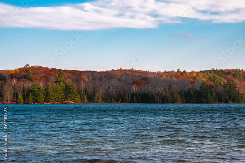 Forested autumn hills across the lake